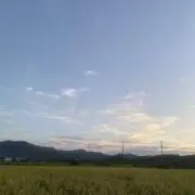 Caelum☆の画像