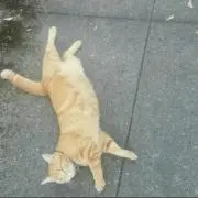 Hiroの画像