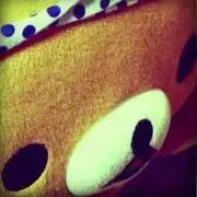 とのぷぅの画像