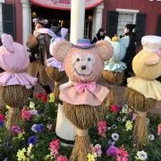 あーちゃんの画像