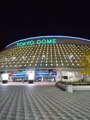 トウの画像