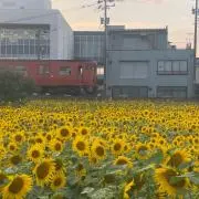 SAITOU