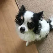 ざきの画像