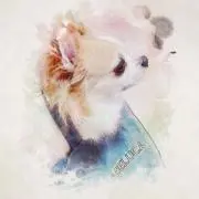 kotemamの画像
