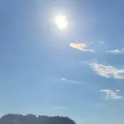 ほのぼの