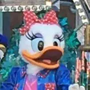 こにゃんこの画像