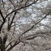 Bryuの画像