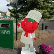 みーたん