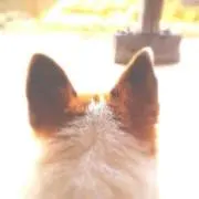 けみ