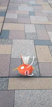 kimkimの画像