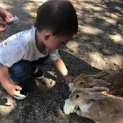 きょうの画像