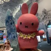 ぴこたんの画像