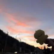ゆか