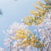 coco6567の画像