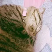 ゆーたん✩.*˚