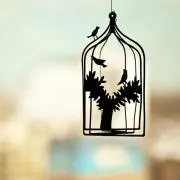 machiの画像