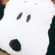 みー