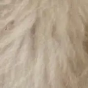 ⭐︎の画像