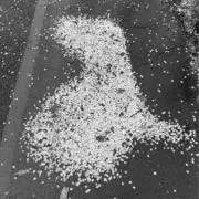 t_archivesの画像