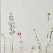 よしさんの画像