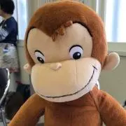 みさお