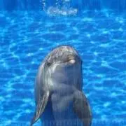 のん ⚠️必ずプロフからご覧くださいの画像