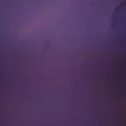 きづ