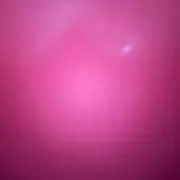 す