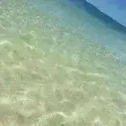 もっちーの画像
