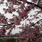 りょうぺい断捨離中(^_^)vの画像