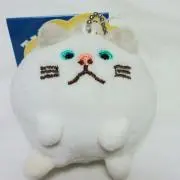 ポンの画像
