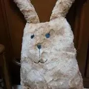 ふぁたろーの画像