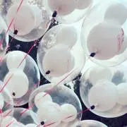 ぺんの画像