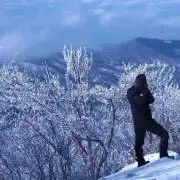 ロッシーの画像