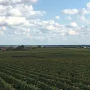 Hello Rの画像
