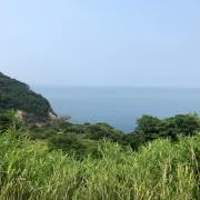 たくや