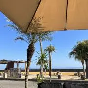 波吉