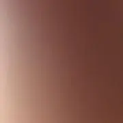 ネル