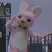 eeeの画像