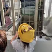 nikonikoの画像