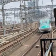 ドンシー