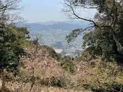 Modokaの画像