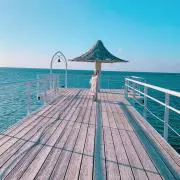 miiiiiの画像