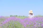 なつめあきの画像
