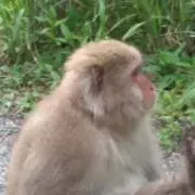 ひろあき