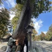 Naaatm