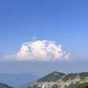 にゃの画像