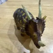 tsanの画像