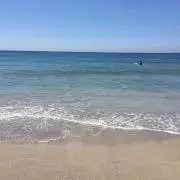 まっさる0820の画像