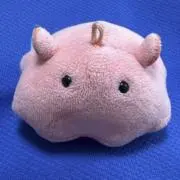 メンダコちゃんの画像